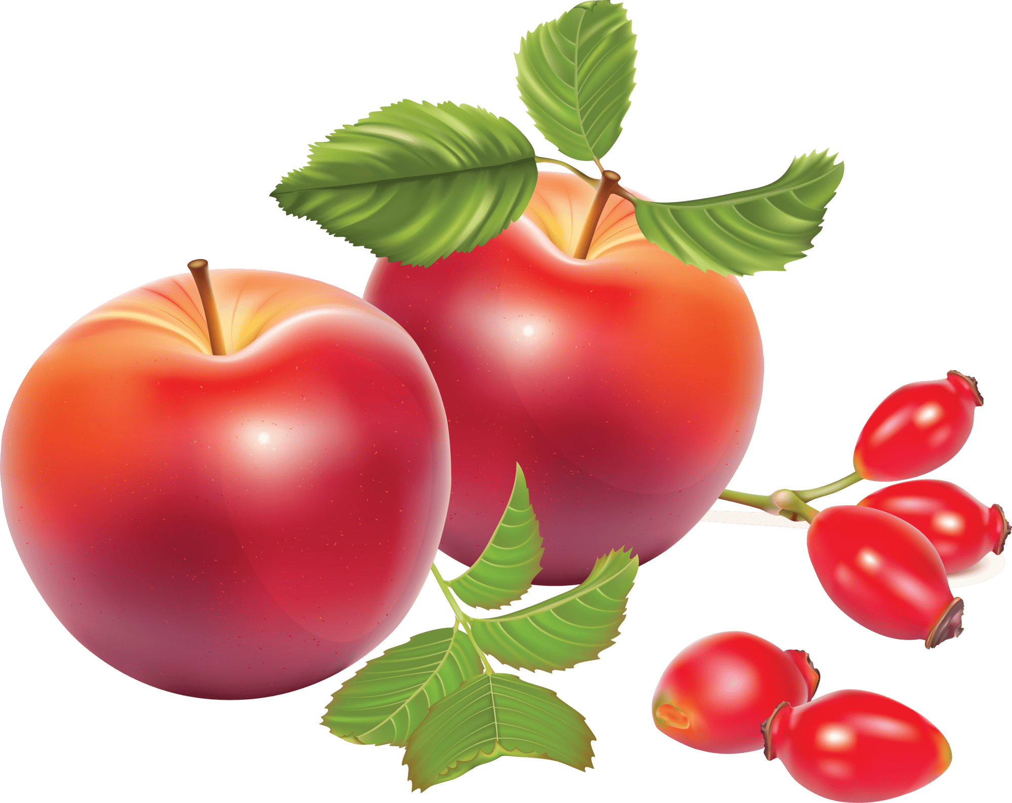 Apple tree fruits clipart background