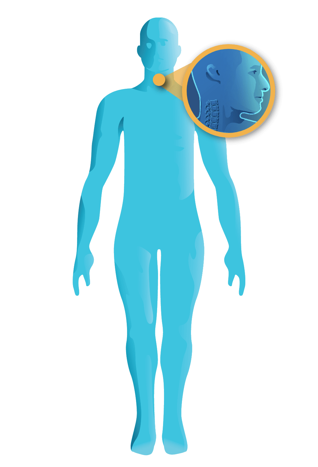 Body long covid research clipart transparent
