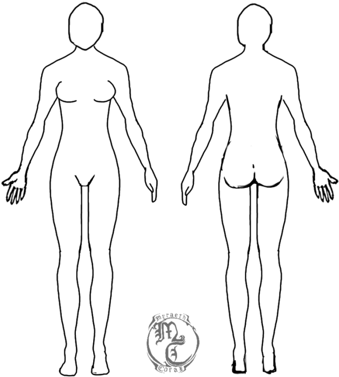 Body outline clipart female human vector