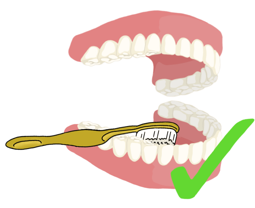 Brush your teeth the right way advice from dentist clipart transparent