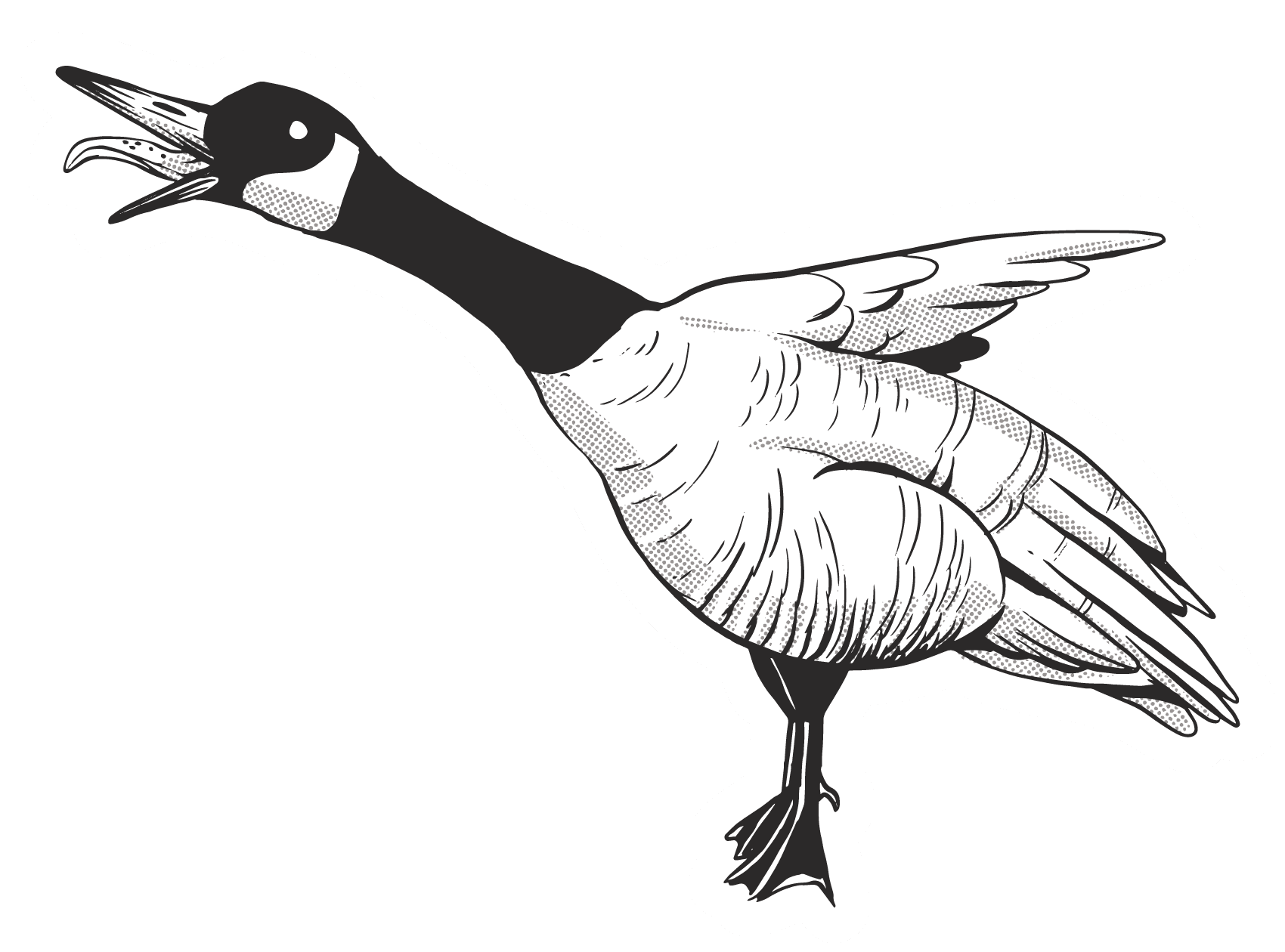 Canadian goose bird sticker clipart free