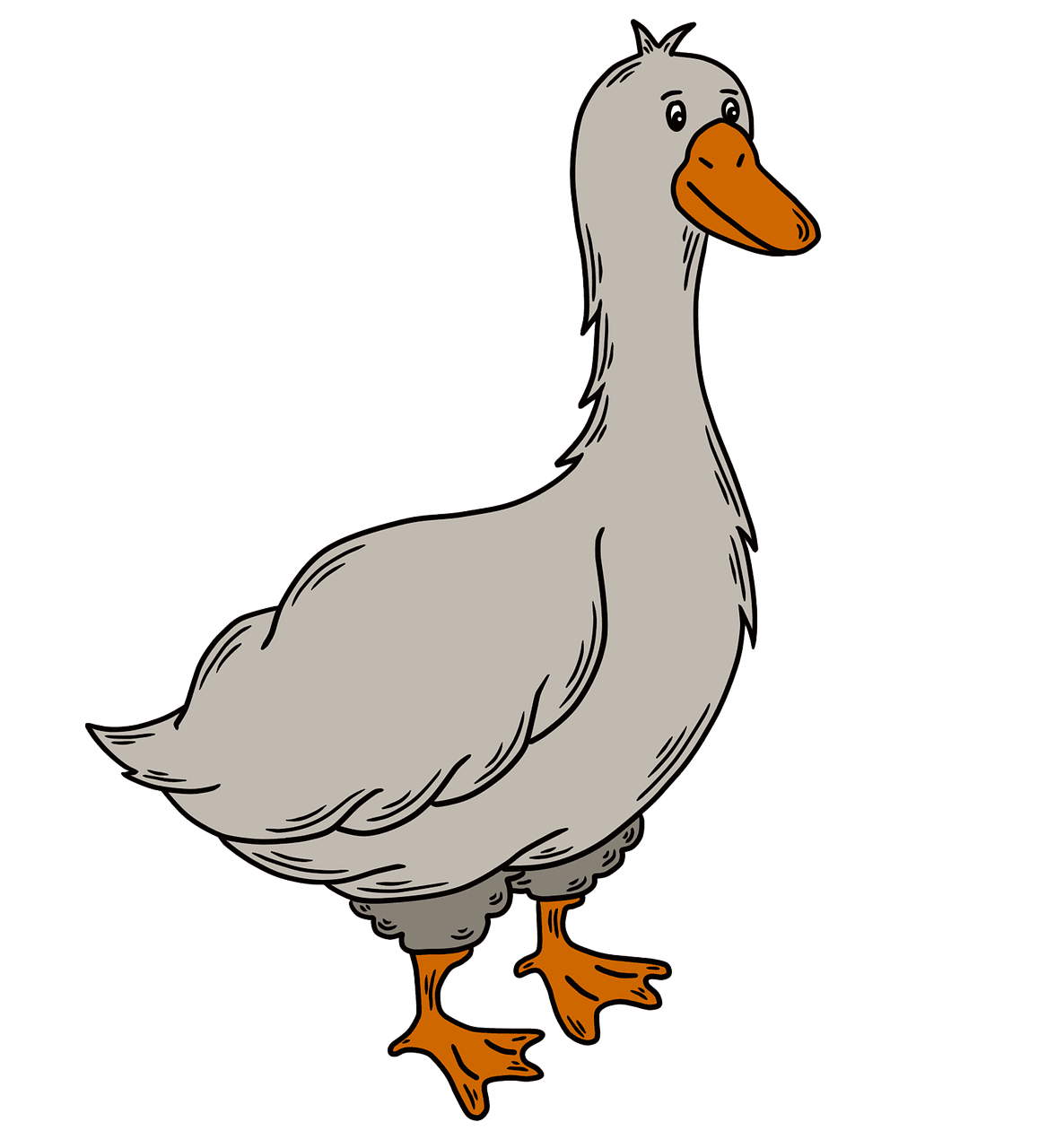 Cartoon goose bird clipart background