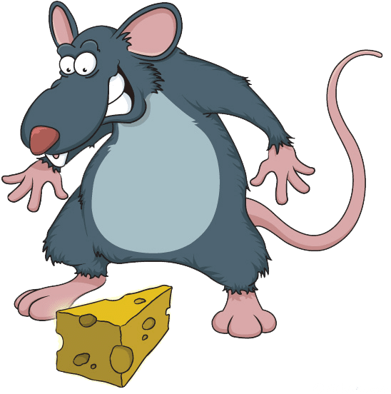 Cartoon rat clipart vector