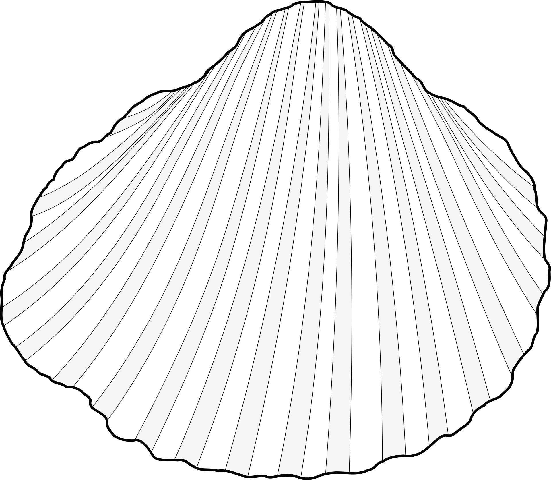 Clam shell clipart vector image photo