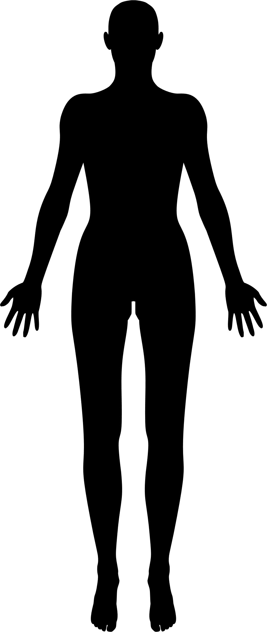 Clipart female body part of slim outline picture
