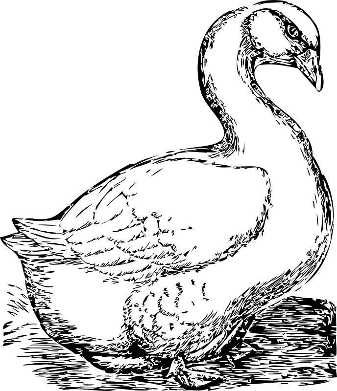 Clipart goose by johnny automatic photo