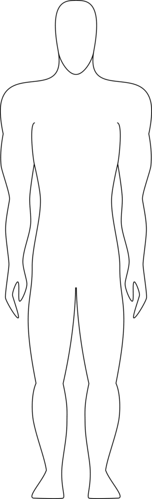 Clipart human body outline line art hd vector