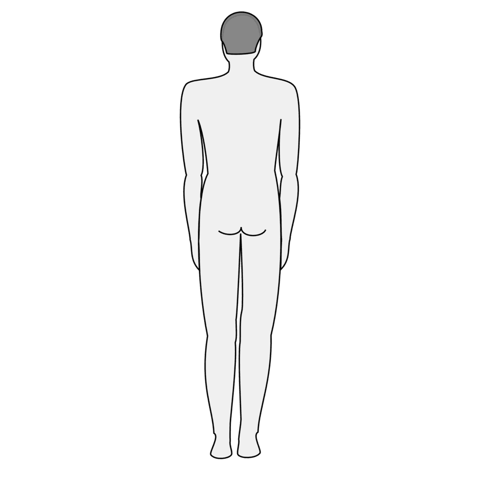 Clipart image male body silhouette back