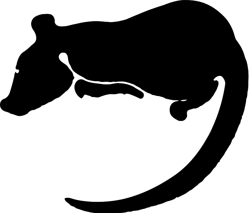 Clipart rat yves guillou vector