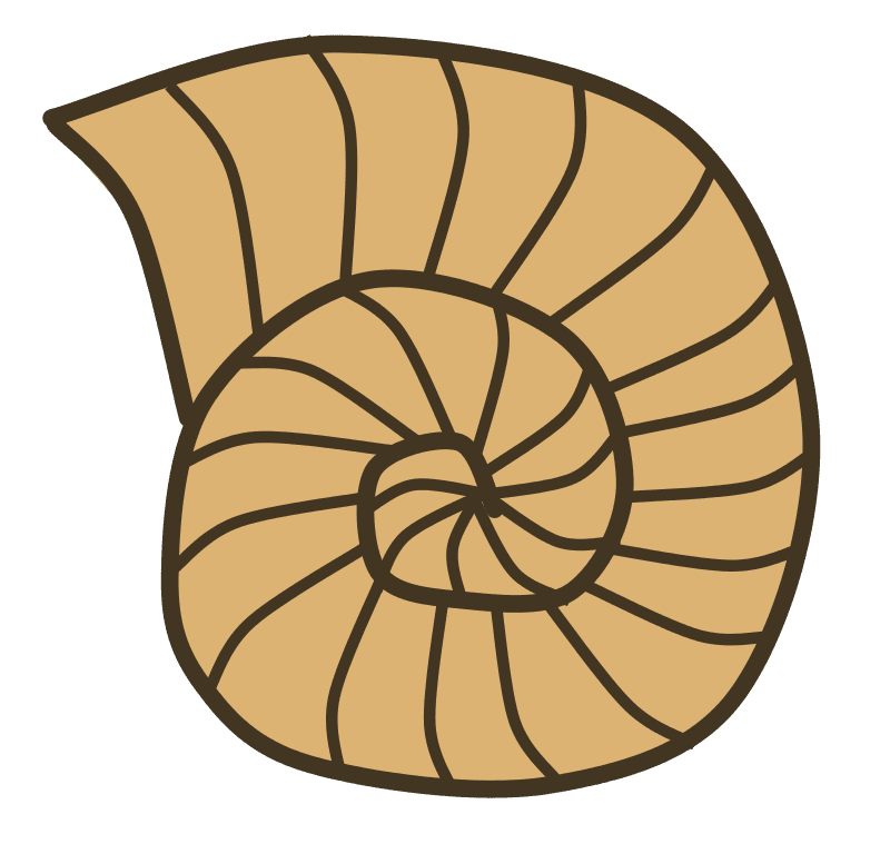 Clipart snail shell by scout photo