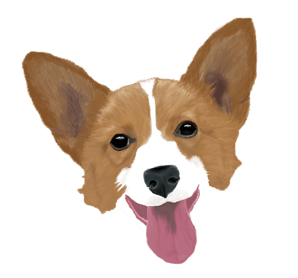 Corgi puppy iphone case by artistsquest pixels merch clipart photo