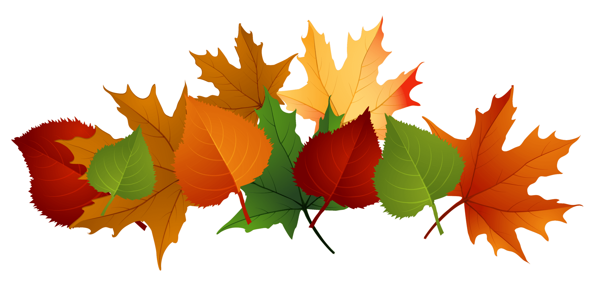 Cute fall beautiful leaves clipart for your autumn projects transparent