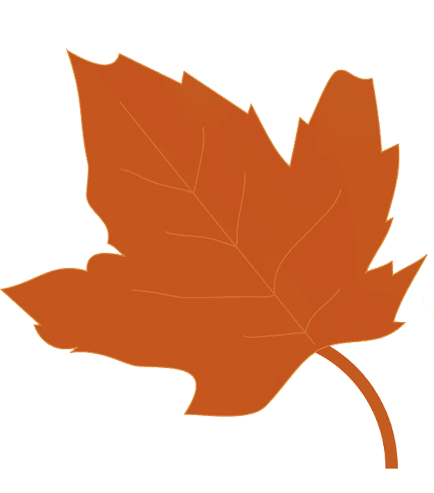 Cute fall leaves clipart beautiful autumn graphics background