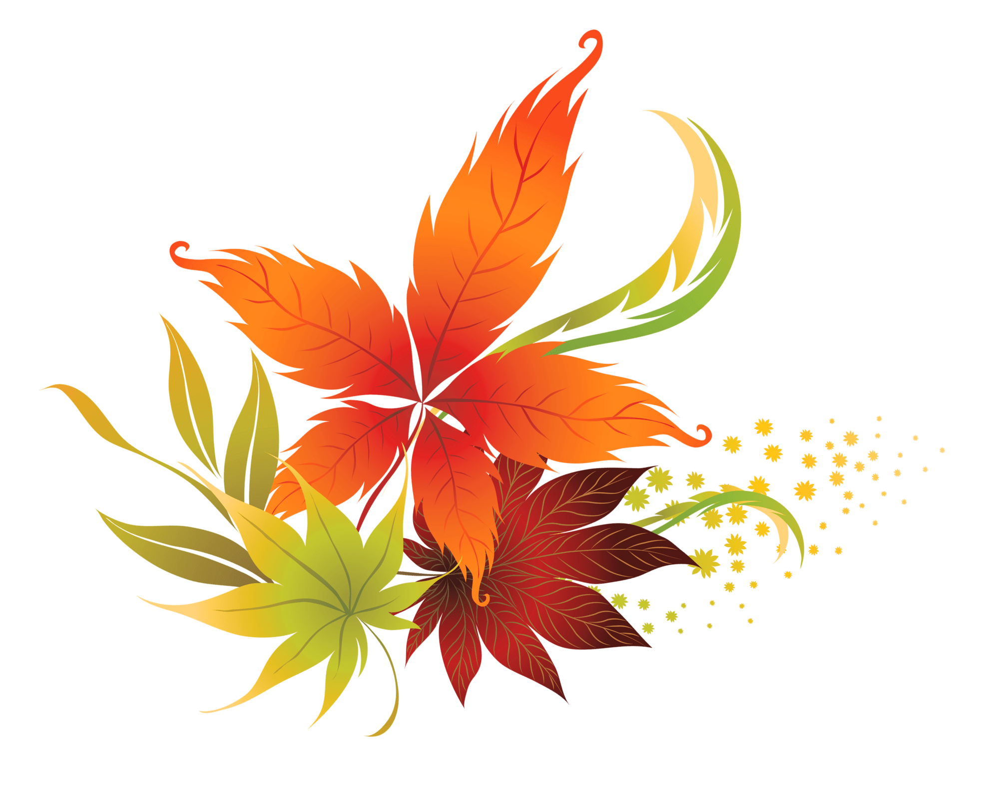 Cute fall leaves leaf clipart no background