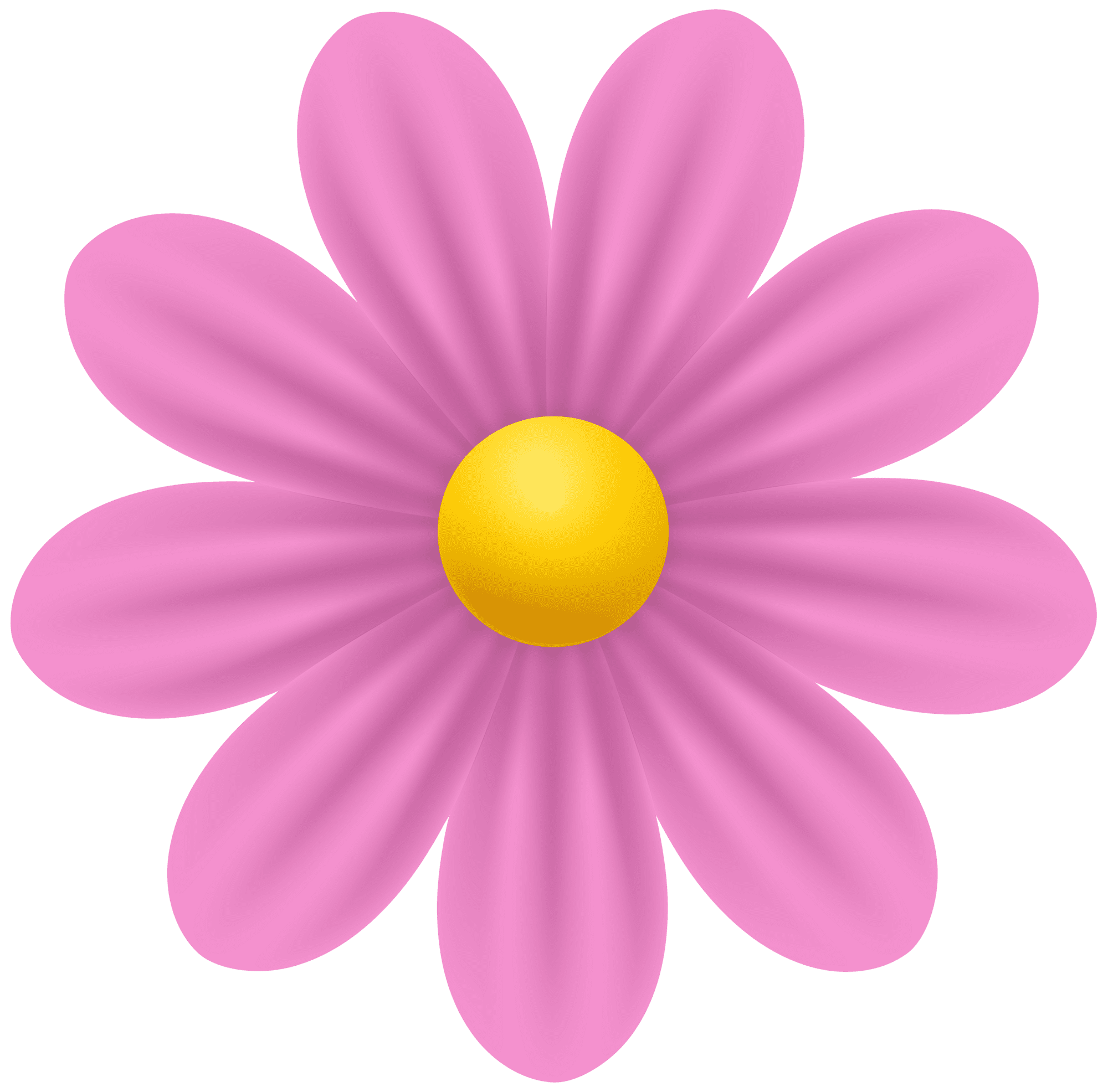 Daisy pink flower clipart clip art
