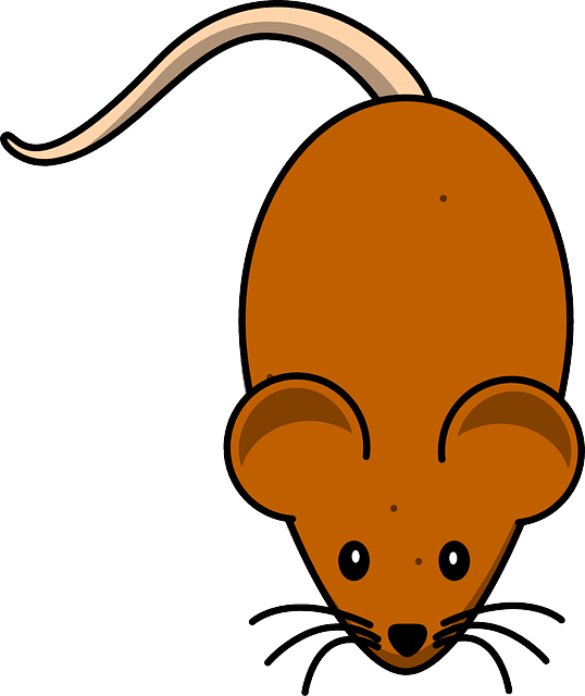 Explore rat illust ions now clipart clip art