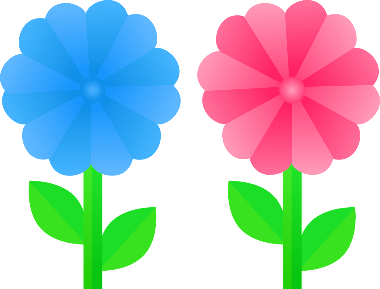 Flowers pink flower blue clipart clip art