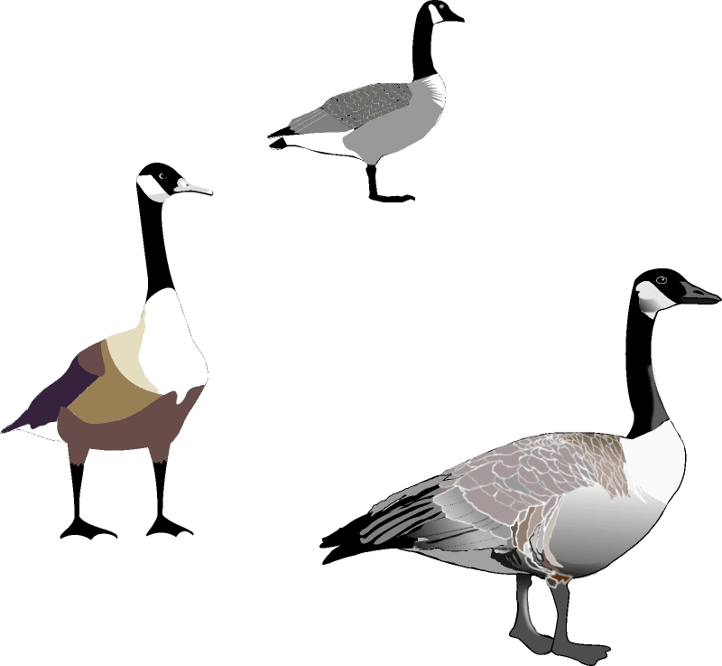 Geese goose munity clipart free