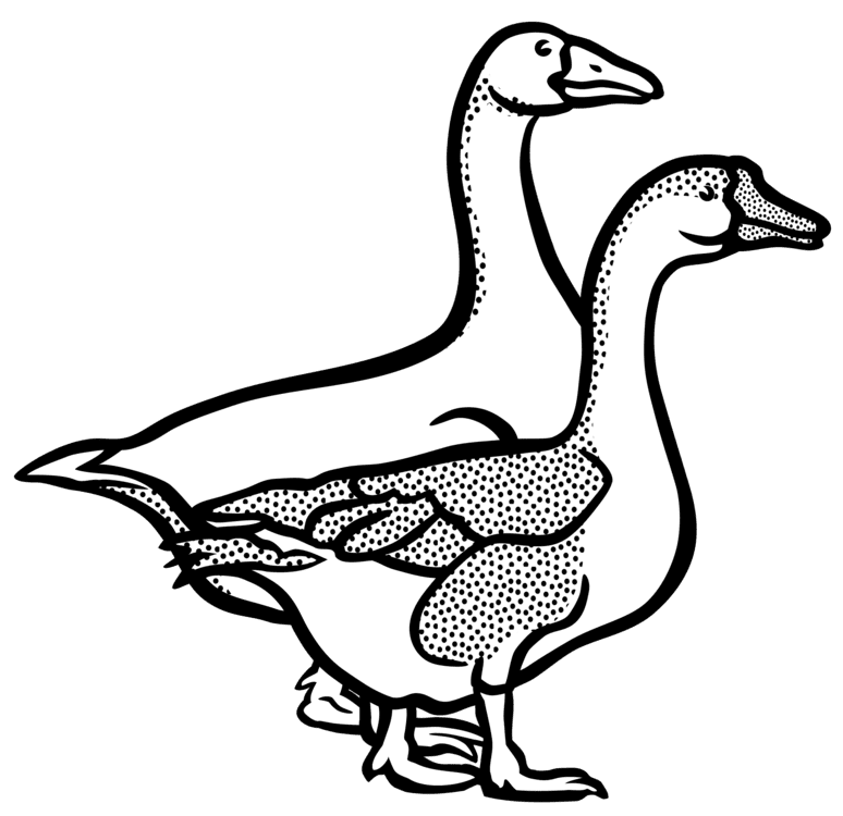 Goose art live fowl clipart logo
