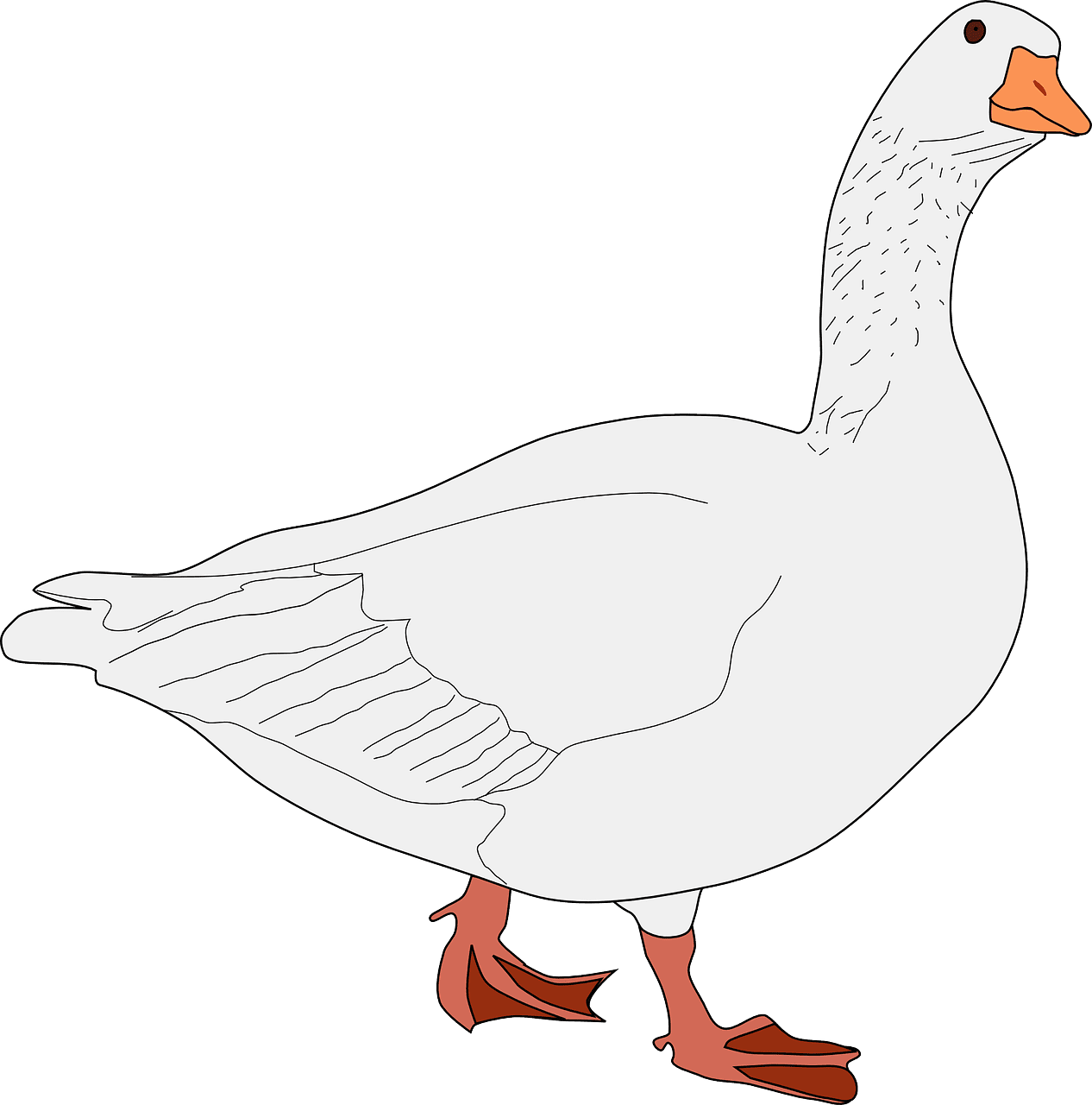 Goose bird animal vector graphic clipart