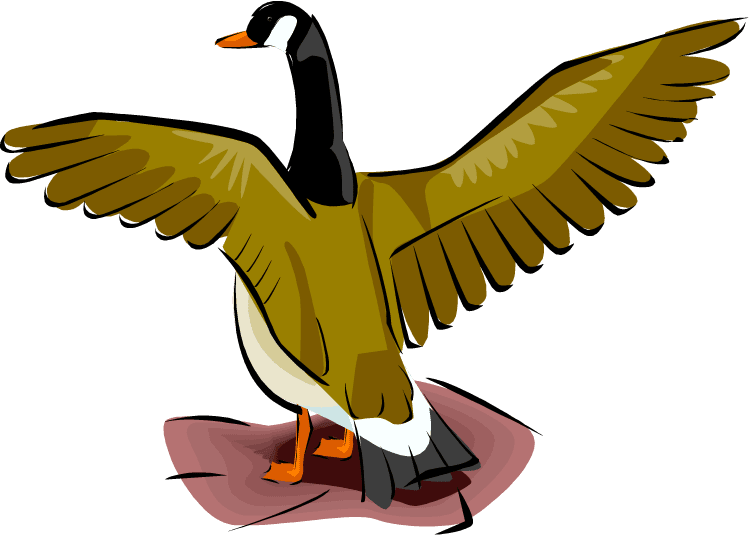 Goose clipart background