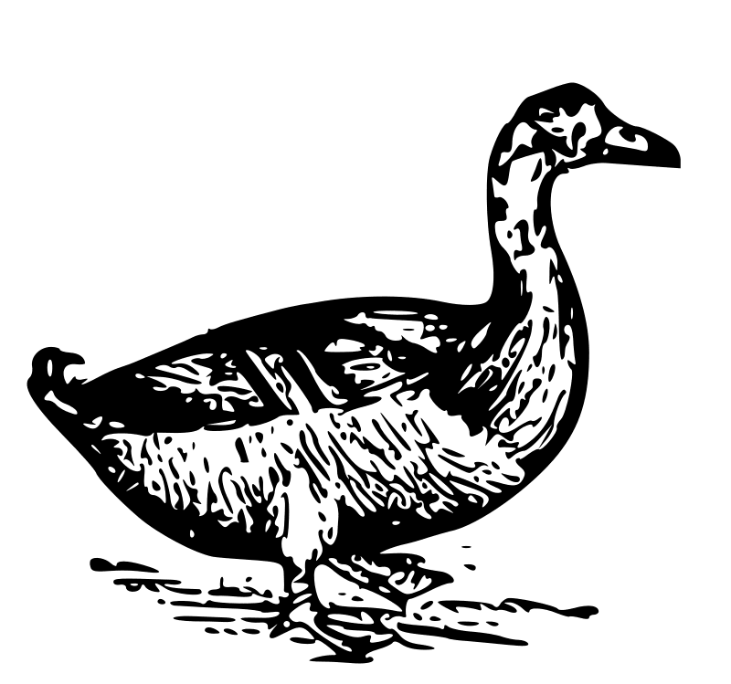Goose clipart duck papapishu transparent