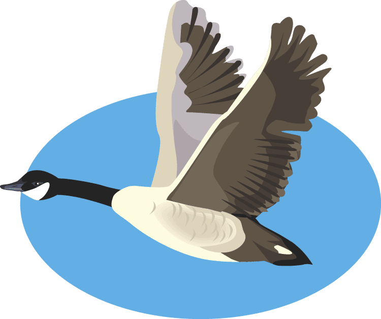 Goose clipart logo
