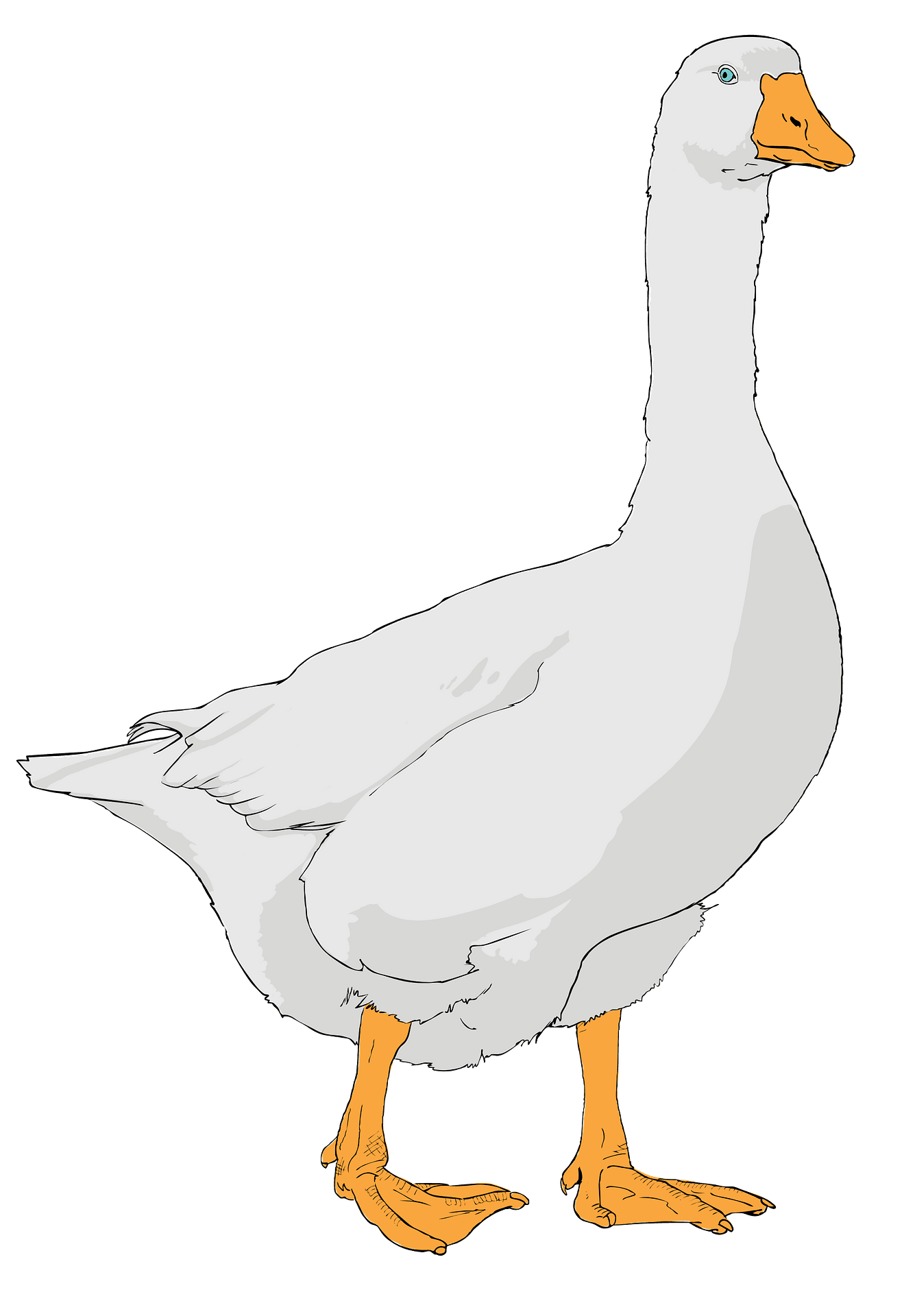Goose clipart transparent