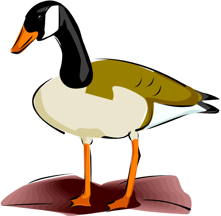 Goose clipart vector