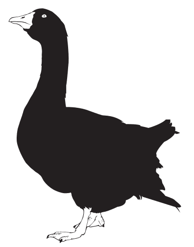 Goose silhouette commons clipart image