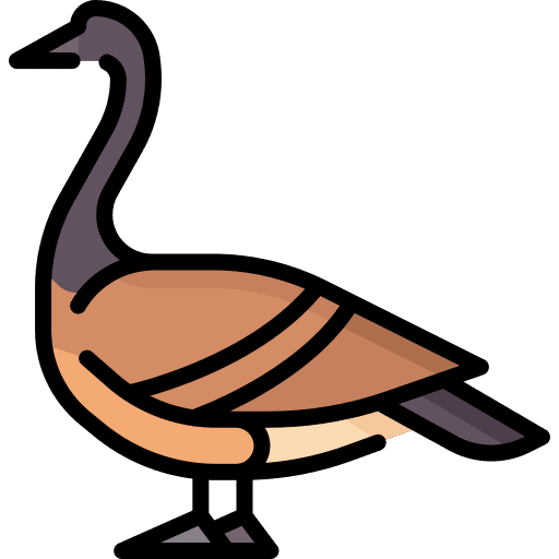 Goose special lineal color clipart image