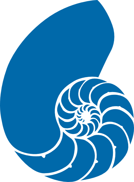 Green and blue nautilus shell clipart vector