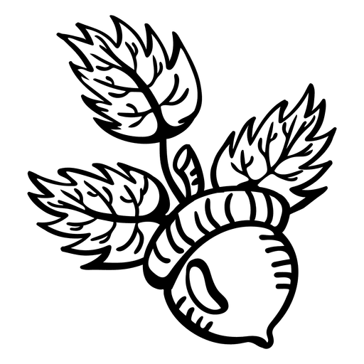 Hand drawn acorn leaf flat outline design for shirts clipart free