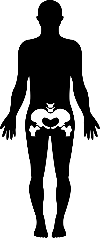 Hips human body part ments clipart large image