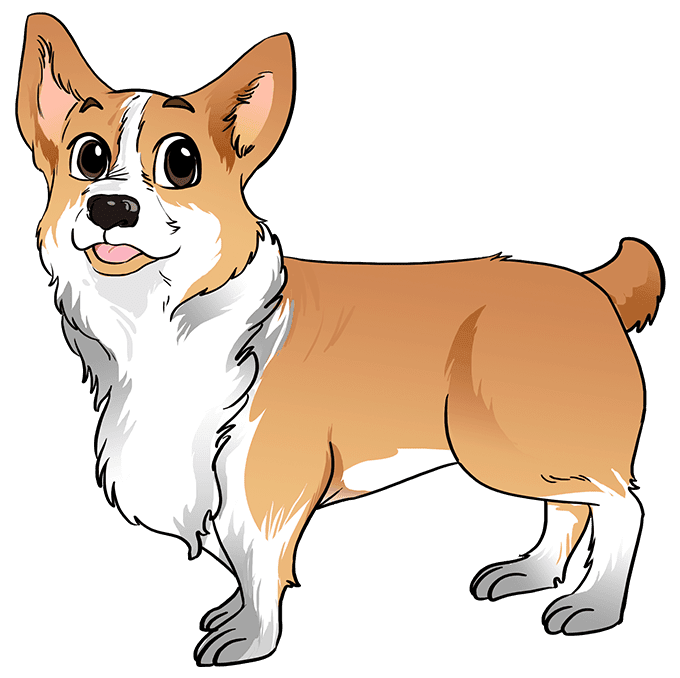 How to draw corgi really easy drawing tutorial clipart transparent