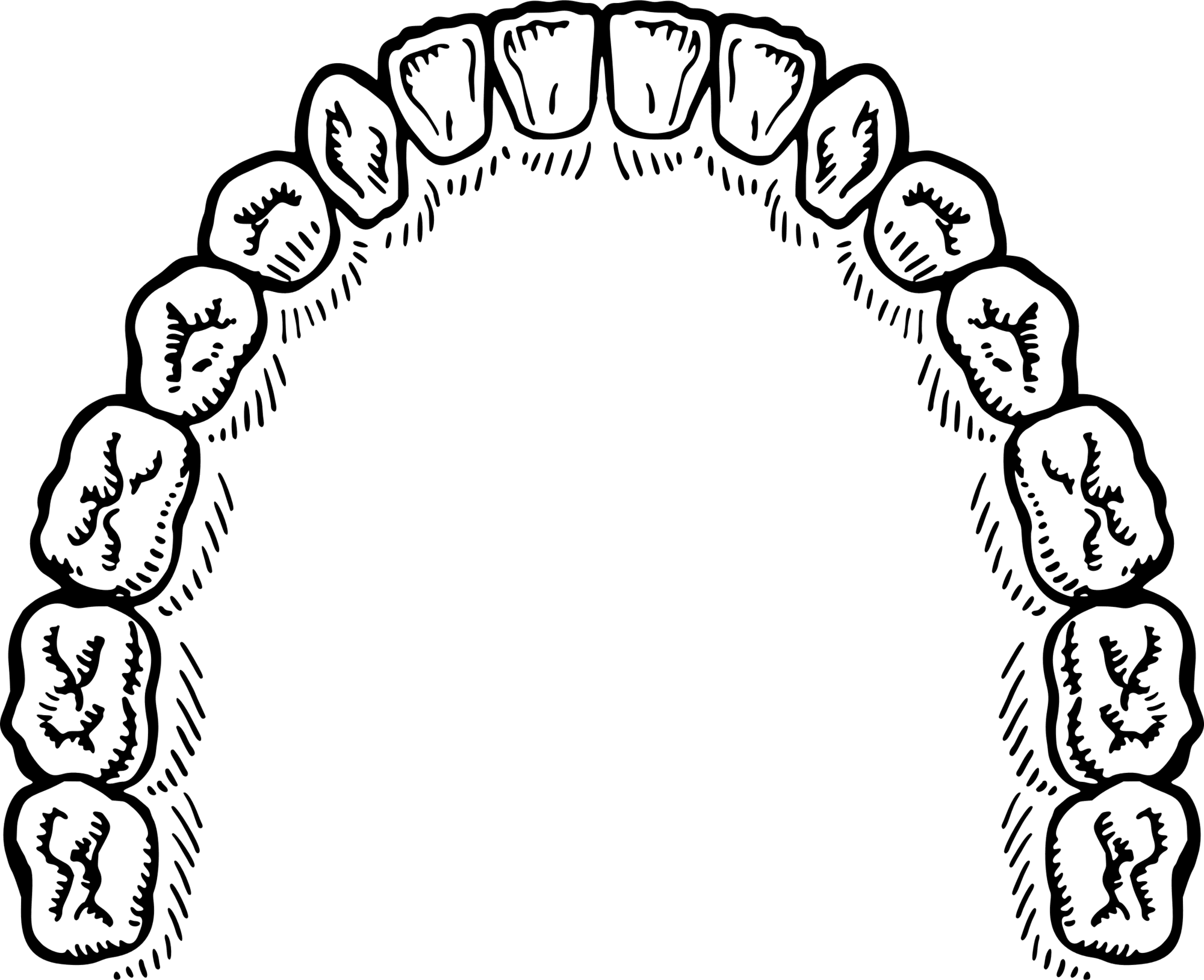 Mouth of teeth vector clipart image photo