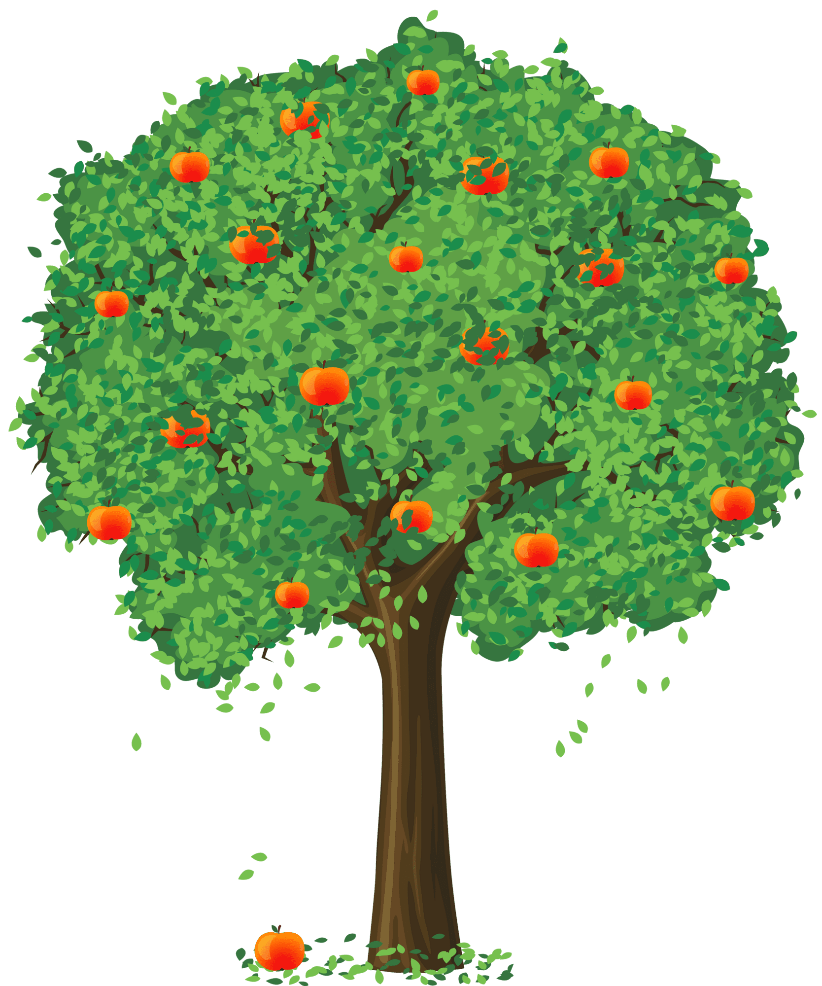 Painted apple tree clipart transparent