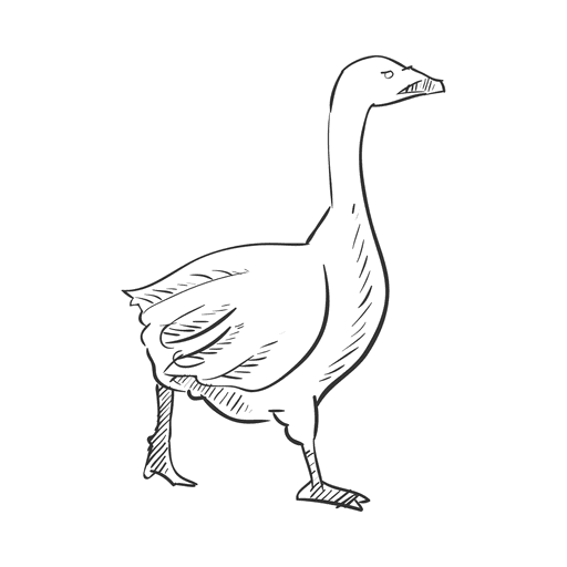 Pencil drawing goose design for shirts clipart photo