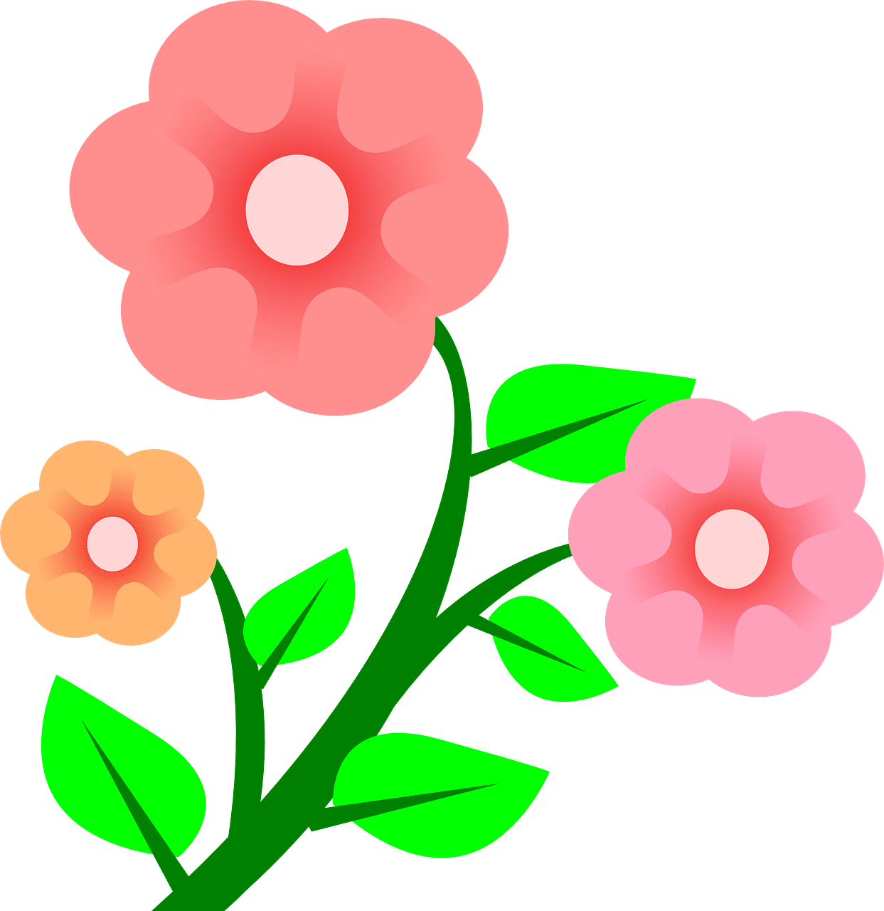 Pink flower background flowers clipart