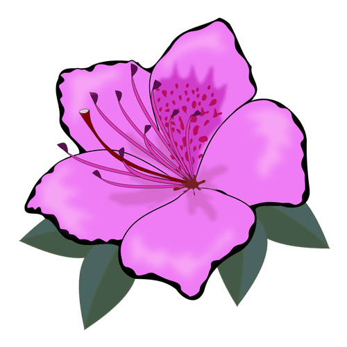 Pink flower clipart graphics vectors