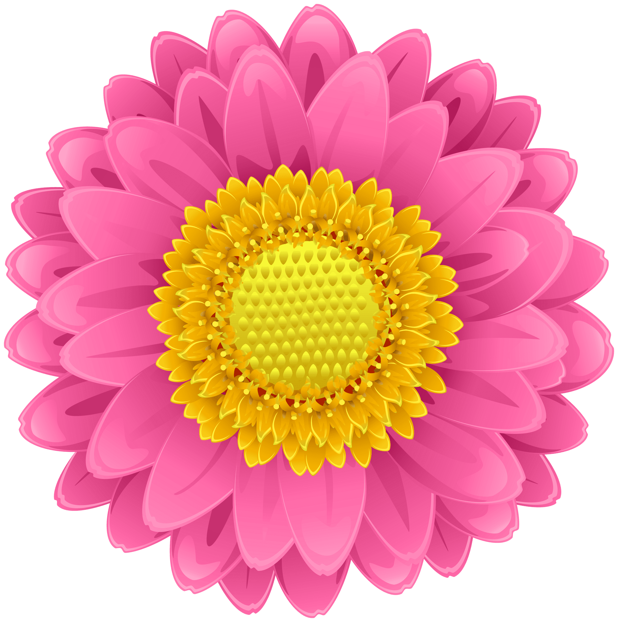 Pink flower clipart image 2