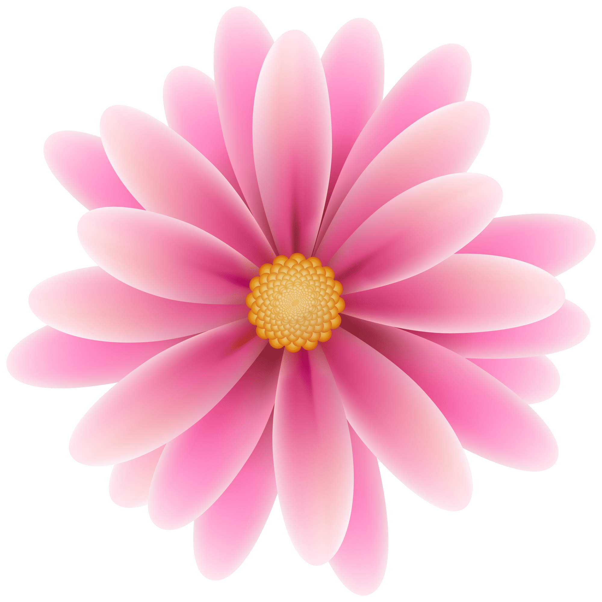 Pink flower clipart image high