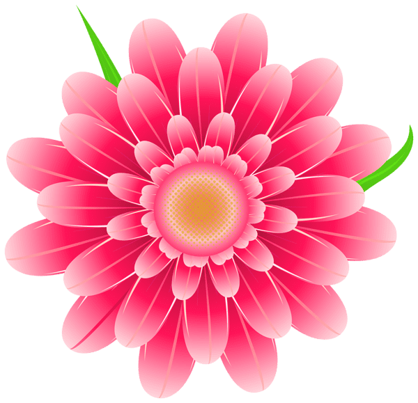 Pink flower clipart image images