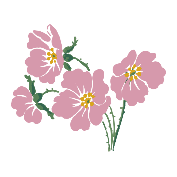 Pink flower clipart photo pictures