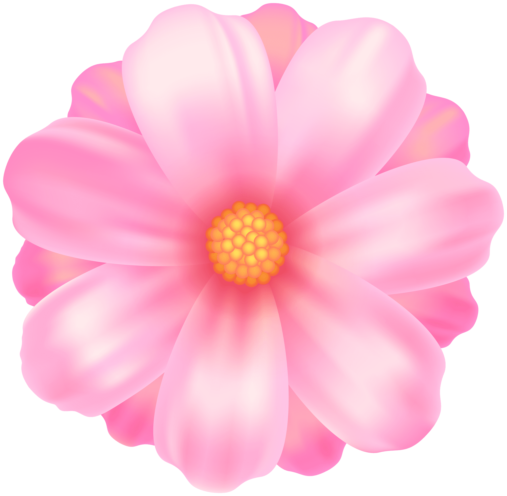 Pink flower clipart photo
