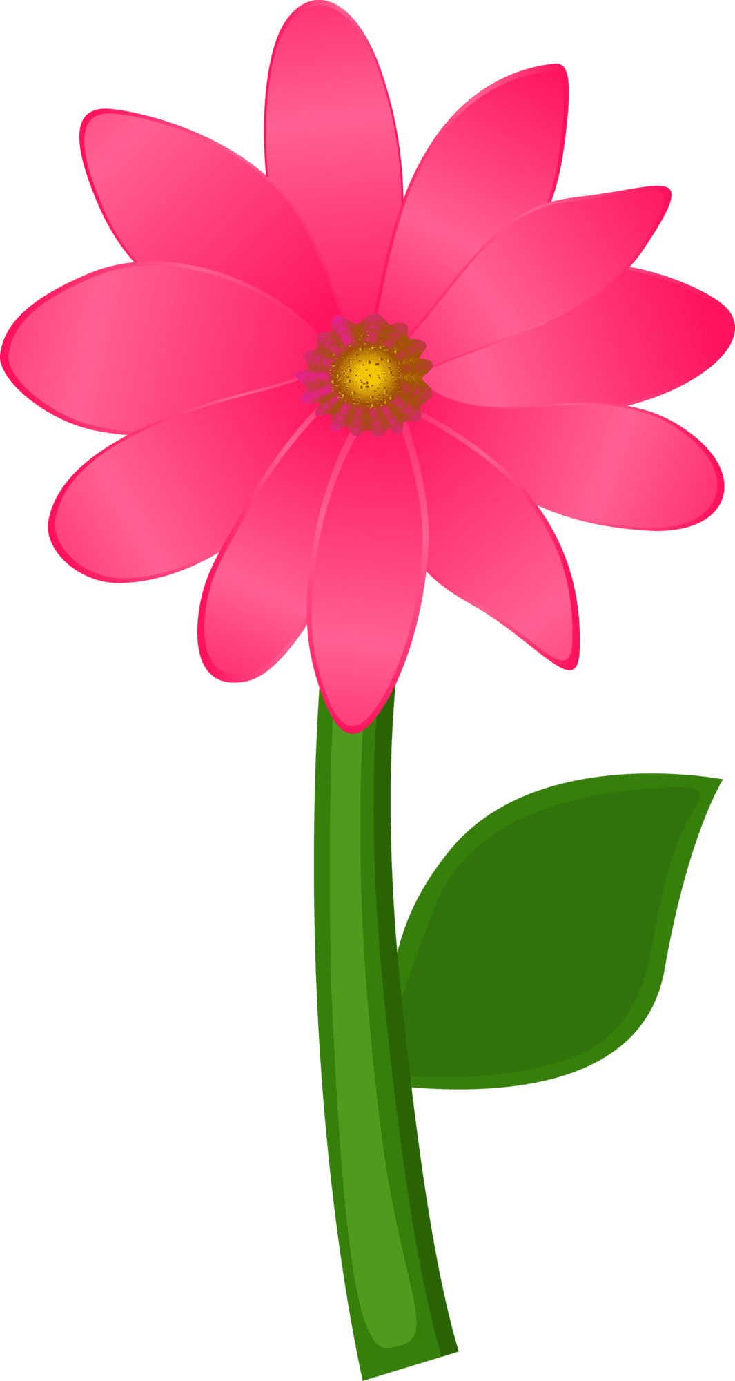 Pink flower daisy clipart picture