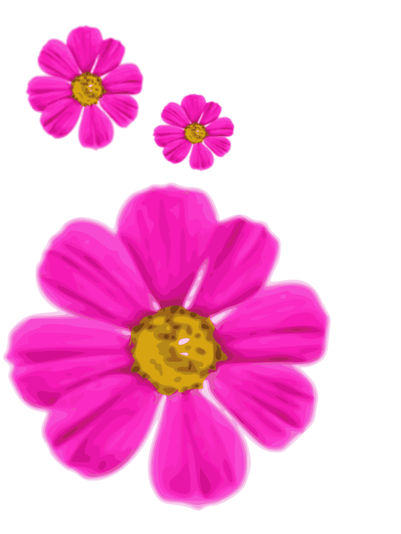 Pink flower garden cosmos clipart picture