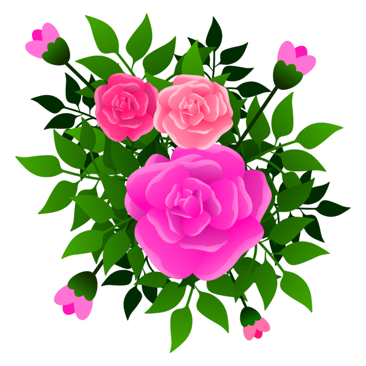 Pink flower prickly rose clipart photo