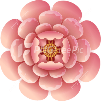 Pink rose abstract flower vector design clipart 2