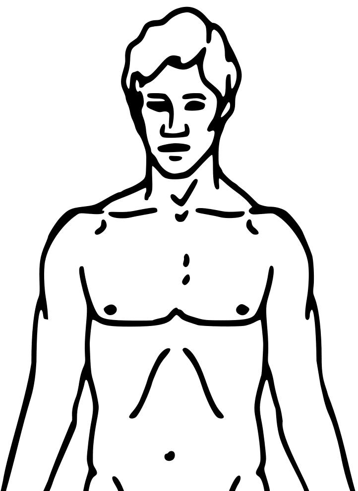 Pioneer plaque man upper body as diagram template clipart transparent